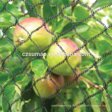 Personnalisé vente chaude noir anti-oiseaux netting fruits